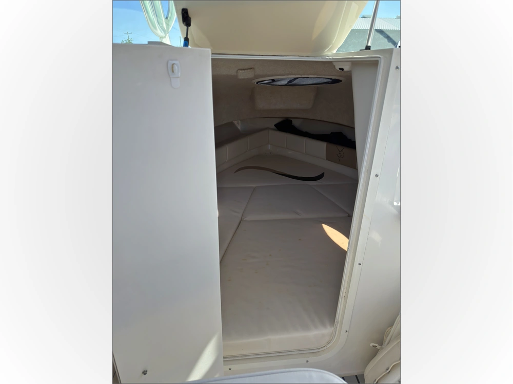 2002 Striper Seaswril 2101 alt