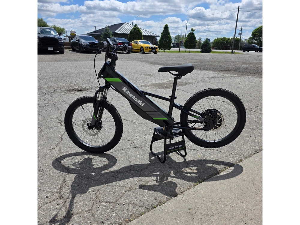2025 Kawasaki Elektrode 20 alt