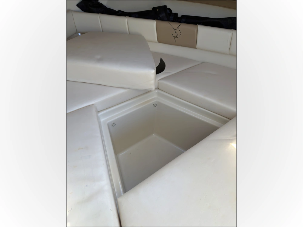 2002 Striper Seaswril 2101 alt