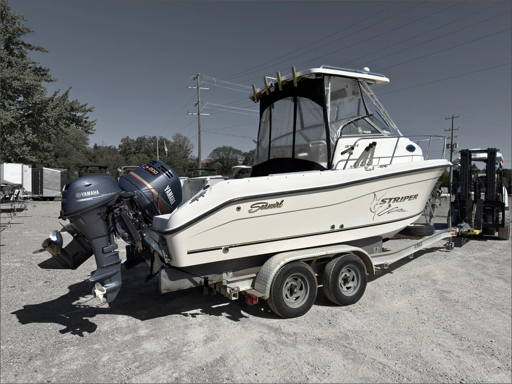 2002 Striper Seaswril 2101 alt