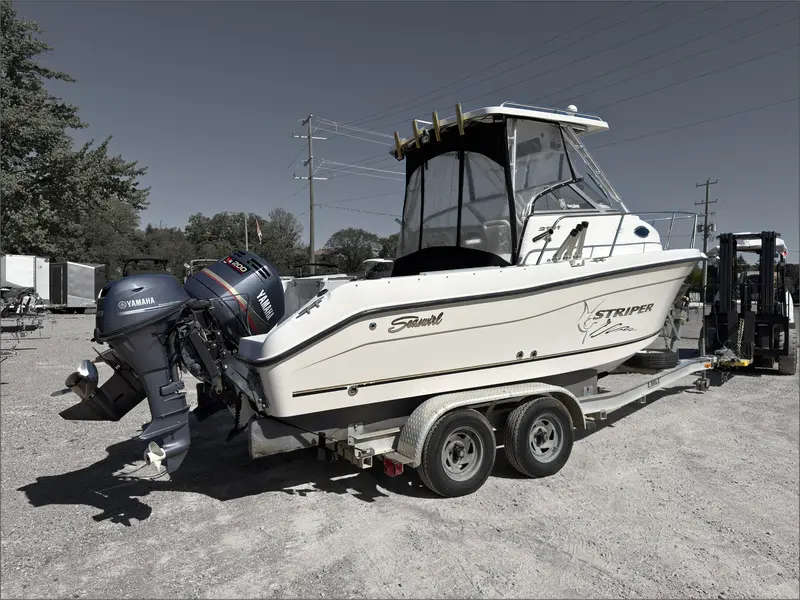 2002 Striper Seaswril 2101 thumbnail 7