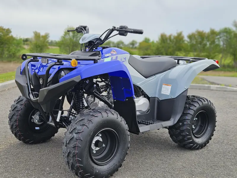 2026 Yamaha GRIZZLY 110