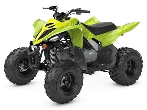 2026 Yamaha RAPTOR 110