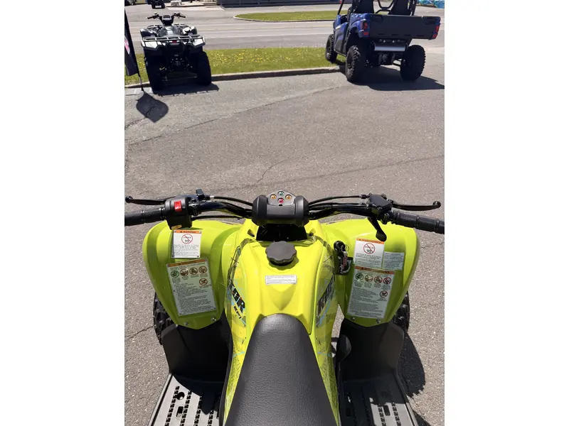 2026 Yamaha Yamaha RAPTOR 110