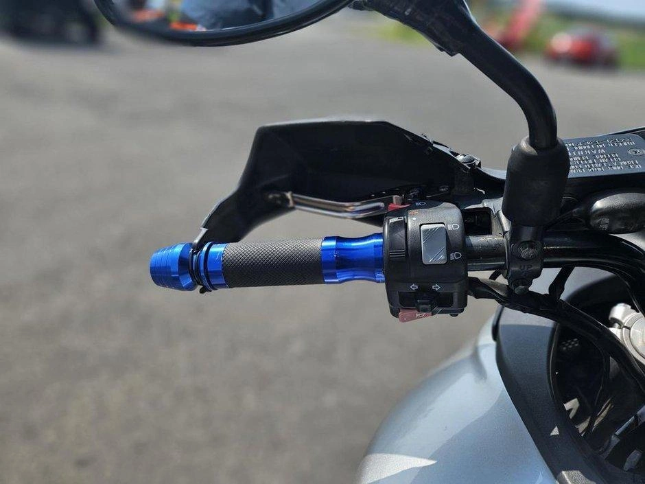 Suzuki Vstrom Dl 2004 alt