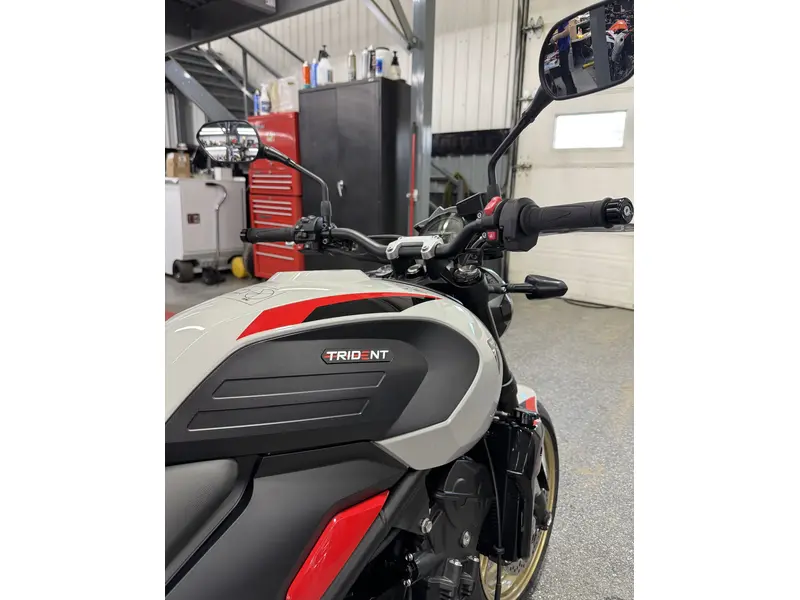 2026 Triumph TRIDENT 800 GRIS
