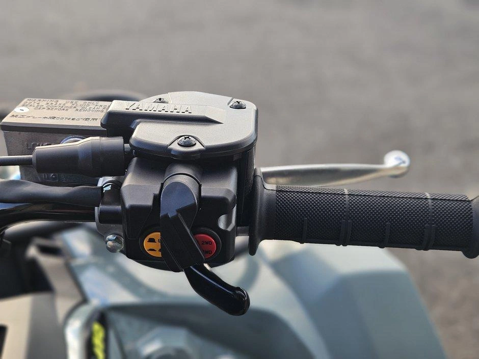 Yamaha Kodiak 450 Eps Xt-r 2026 alt
