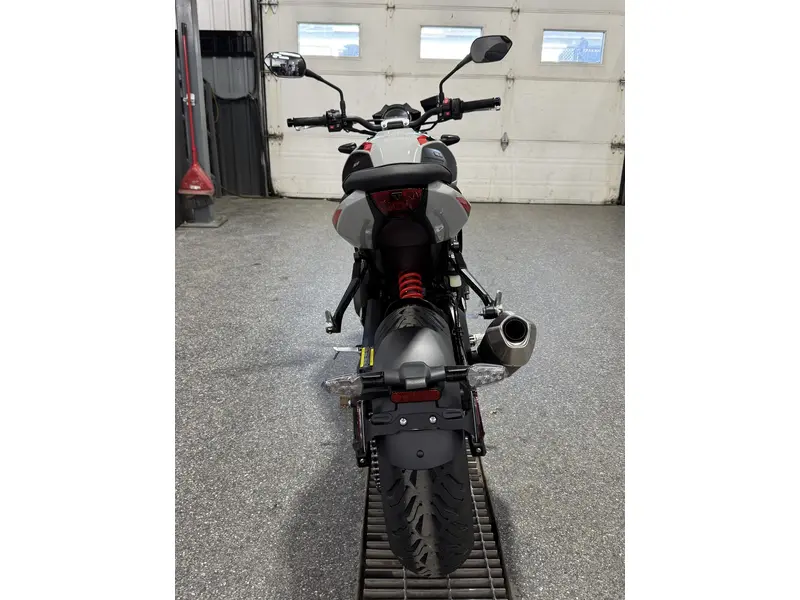 2026 Triumph TRIDENT 800 GRIS