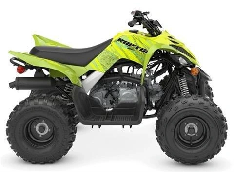 2026 Yamaha Raptor 110 alt