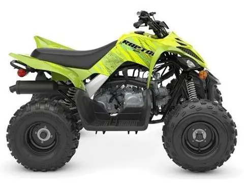 2026 Yamaha RAPTOR 110