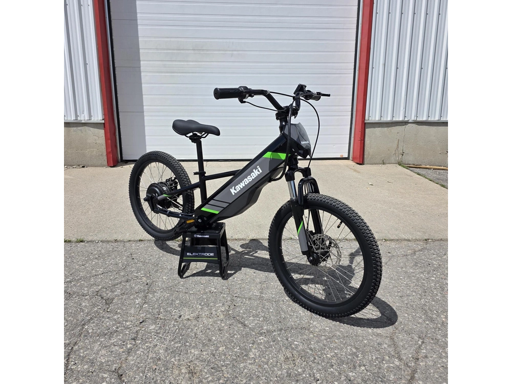 2025 Kawasaki Elektrode 20 alt