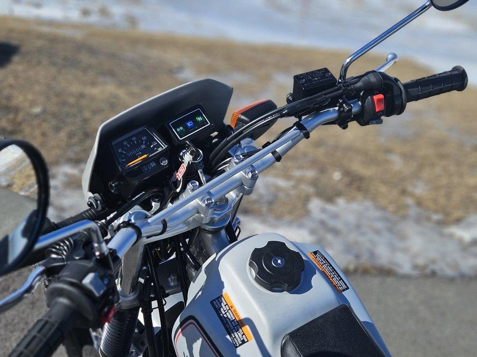 2026 Yamaha Tw200 alt