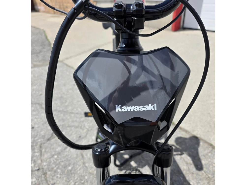 2025 Kawasaki Elektrode 20 alt