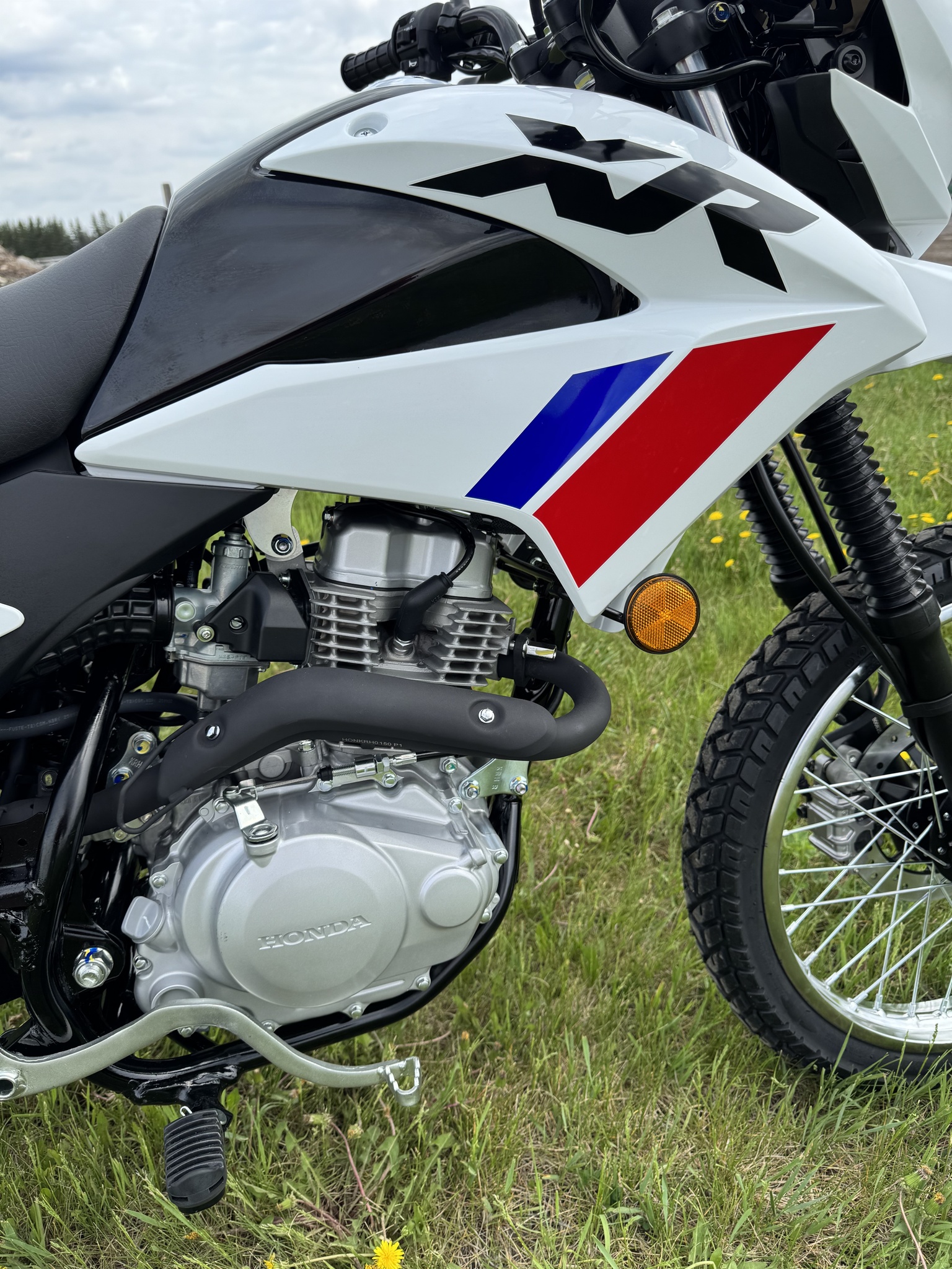 2026 Honda XR150L thumbnail 6