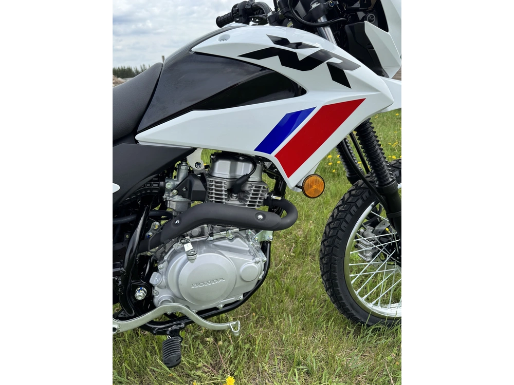 2026 Honda Xr150l alt