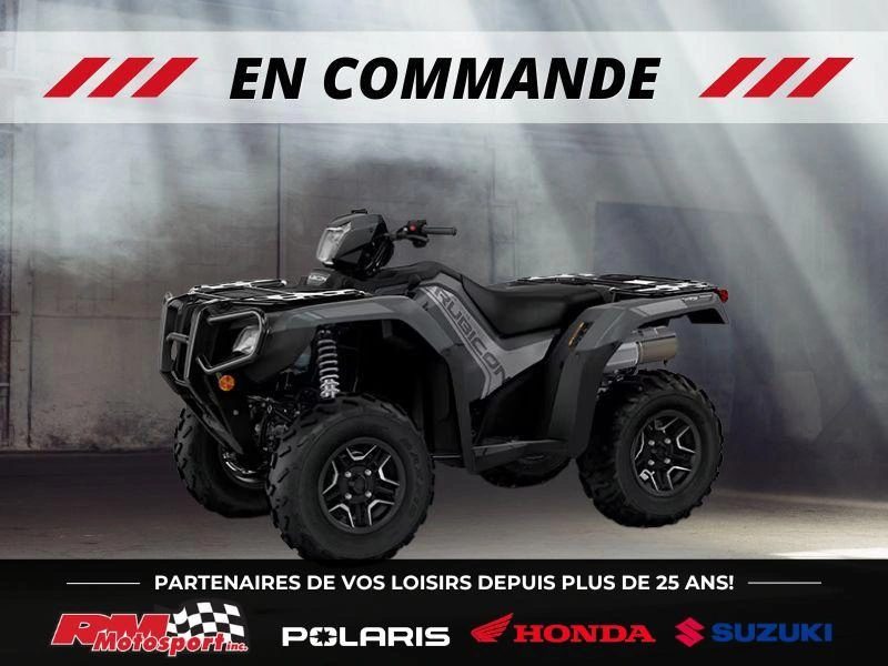 Honda Rubicon 520 Dct Irs Eps Deluxe 2026 alt
