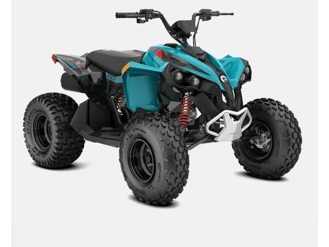 2026 Can-am Renegade 110 Efi alt