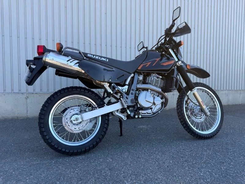 2026 Suzuki Dr650se alt