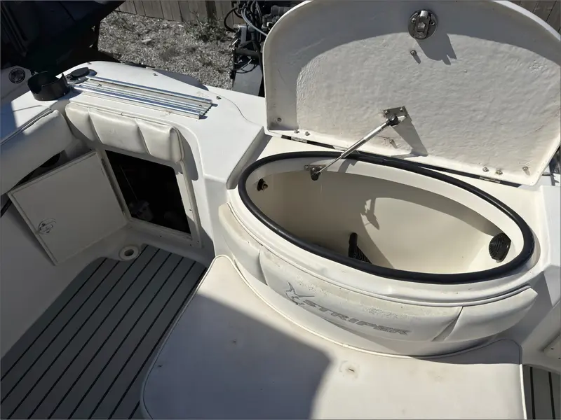2002 Striper Seaswril 2101 thumbnail 15