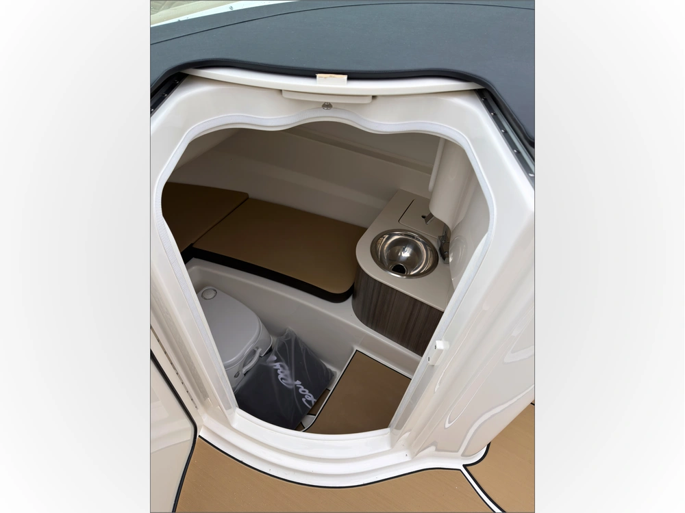 2026 Sea Ray Sdx 250 Surf alt