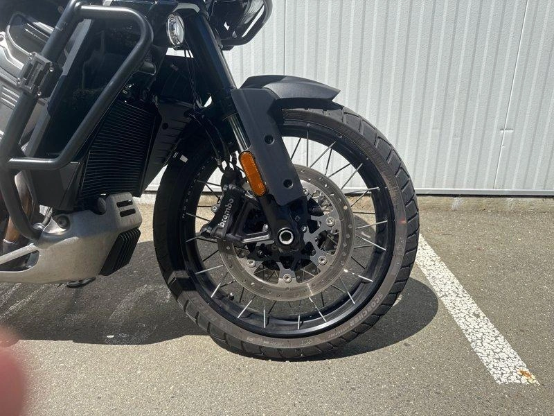 2023 Harley-davidson Ra1250s - Pan America™ 1250 Special alt