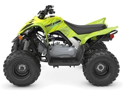 2026 Yamaha Raptor 110 alt