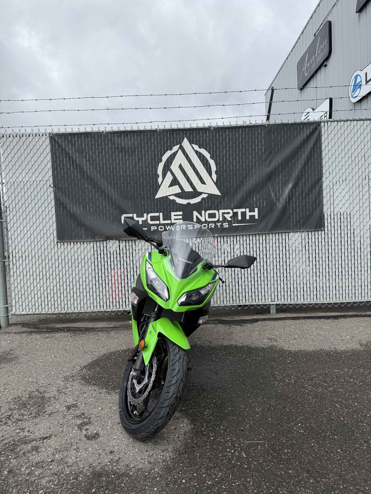 2026 Kawasaki Ninja 300 ABS thumbnail 2