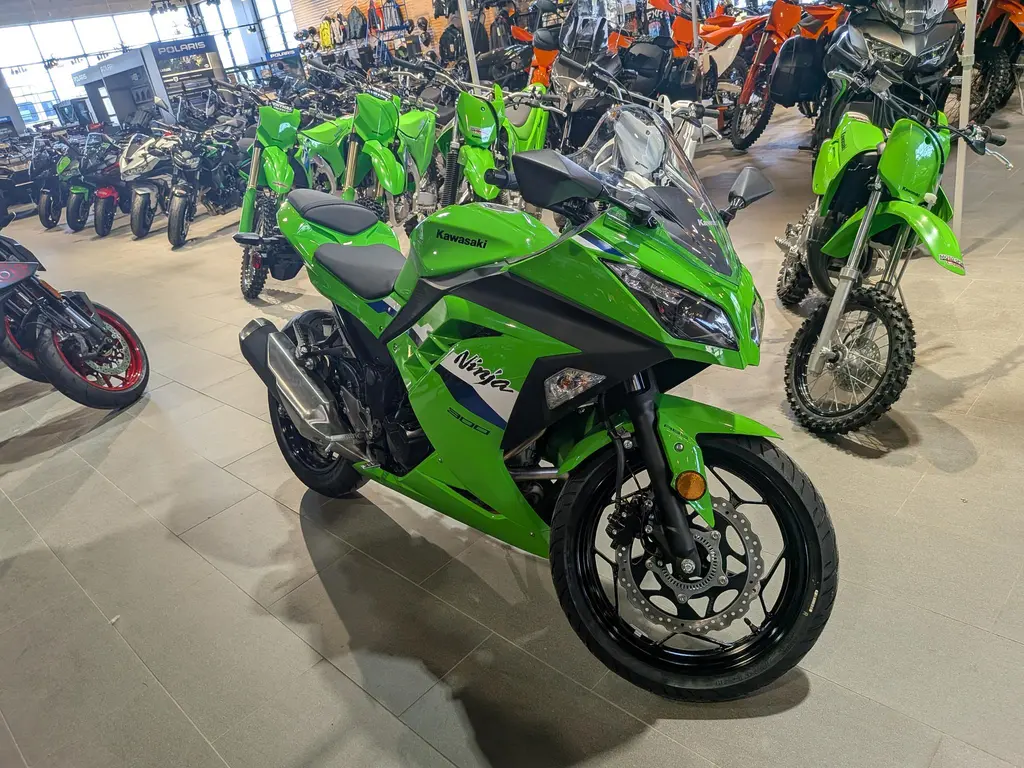Kawasaki Ninja 300 2026