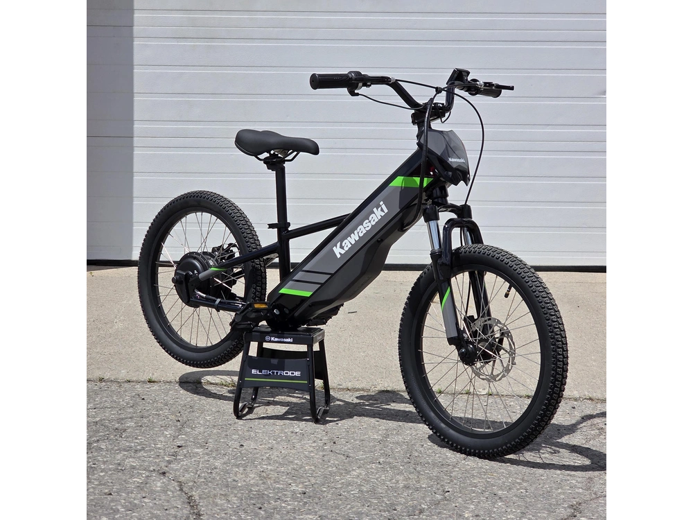 2025 Kawasaki Elektrode 20 alt