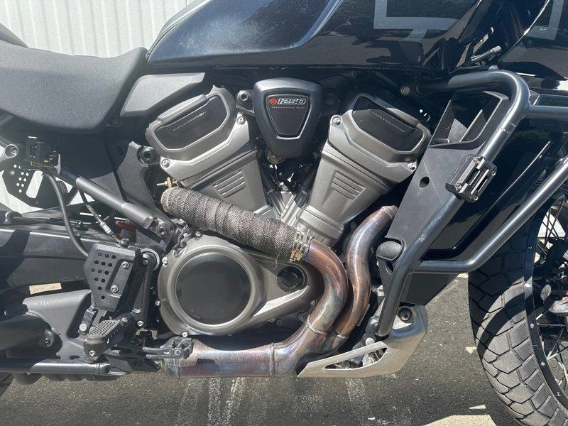 2023 Harley-davidson Ra1250s - Pan America™ 1250 Special alt