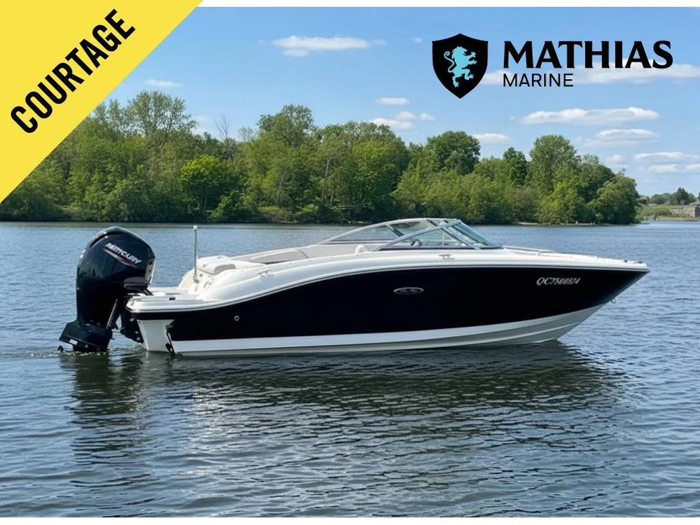 2021 Sea Ray 190 Spo alt