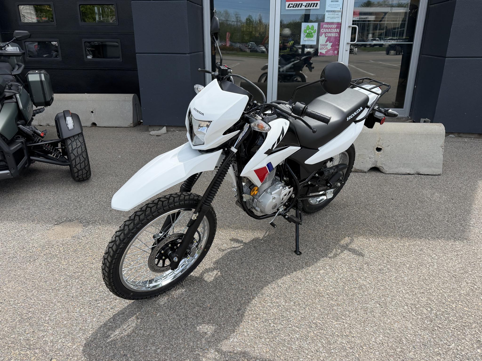 2025 Honda XR150L (CA) thumbnail 2