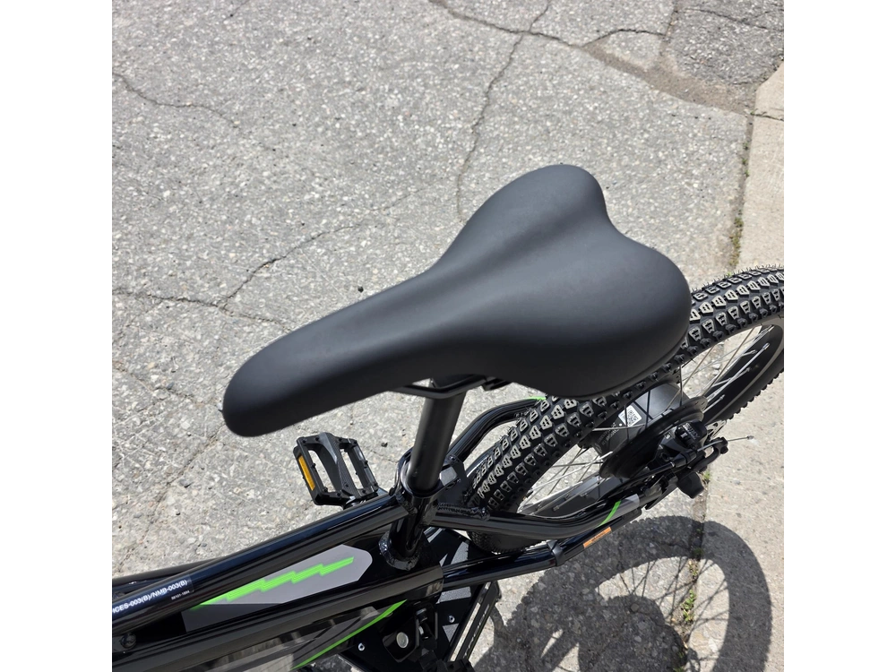 2025 Kawasaki Elektrode 20 alt