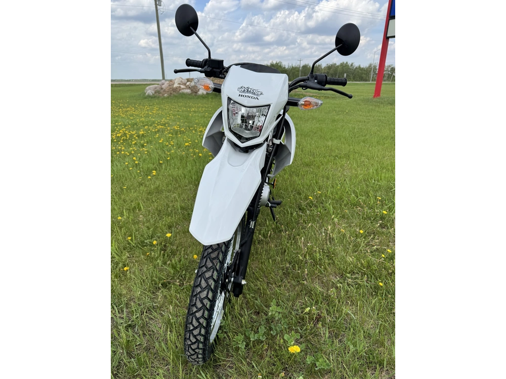 2026 Honda Xr150l alt