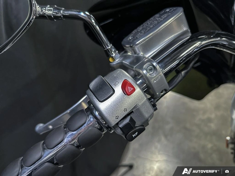 2009 Suzuki Vl1500 alt