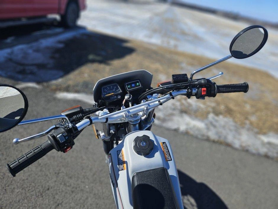 2026 Yamaha Tw200 alt