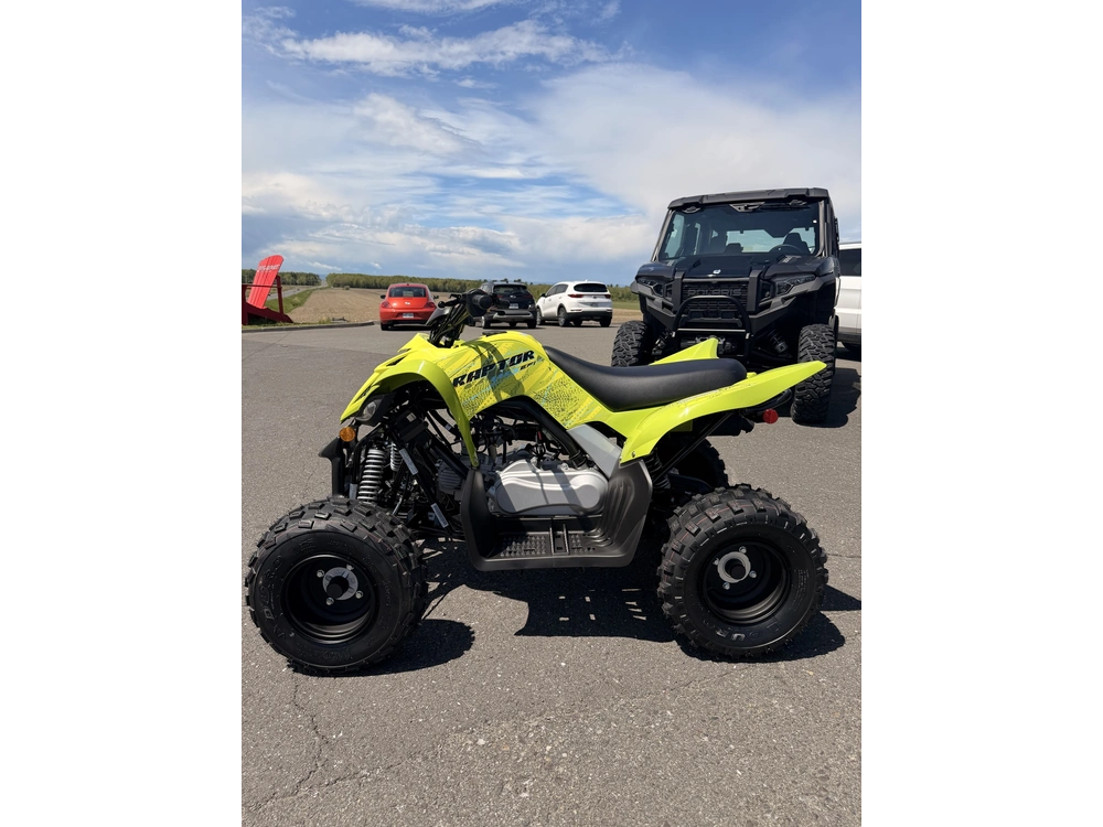 2026 Yamaha Yamaha Raptor 110 alt