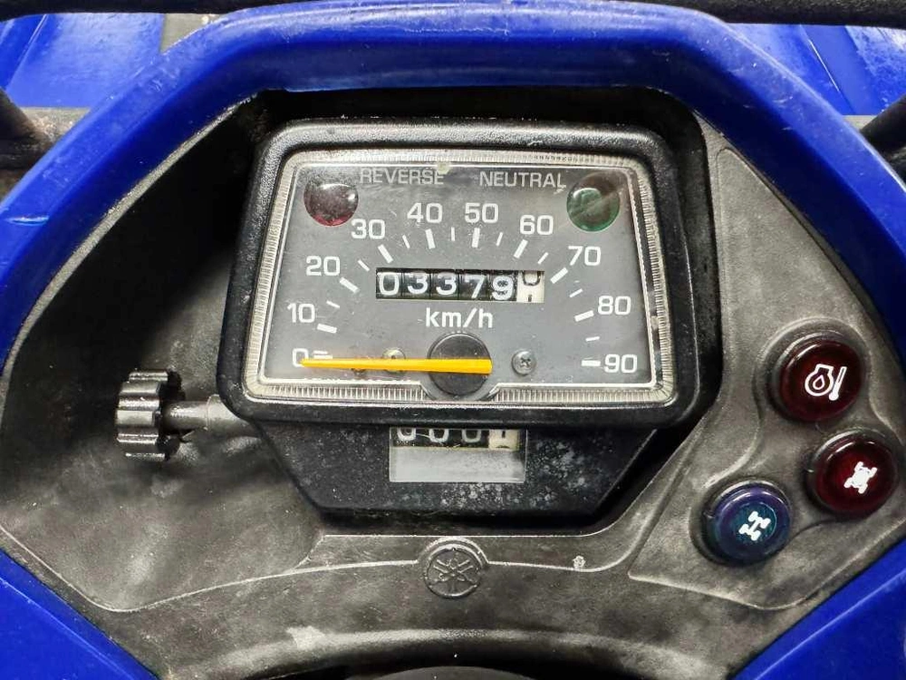 2008 Yamaha Kodiak 350 alt