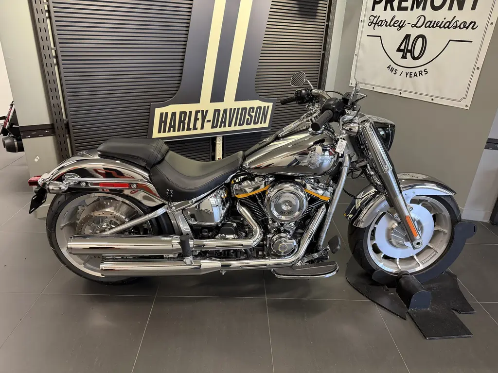 Harley-Davidson FAT BOY GRAY GHOST 1424/1990 2025