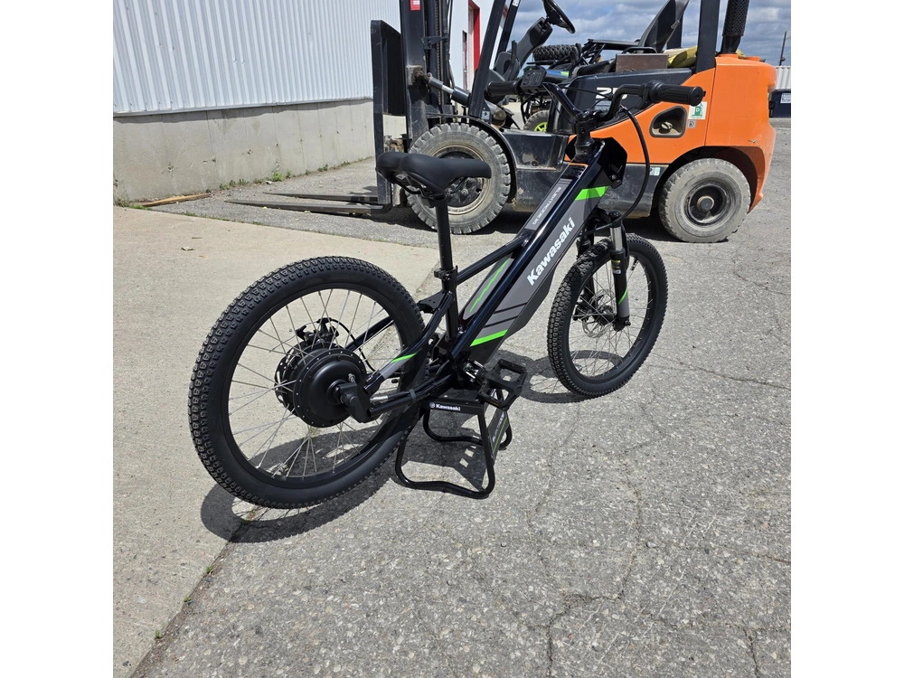 2025 Kawasaki Elektrode 20 alt