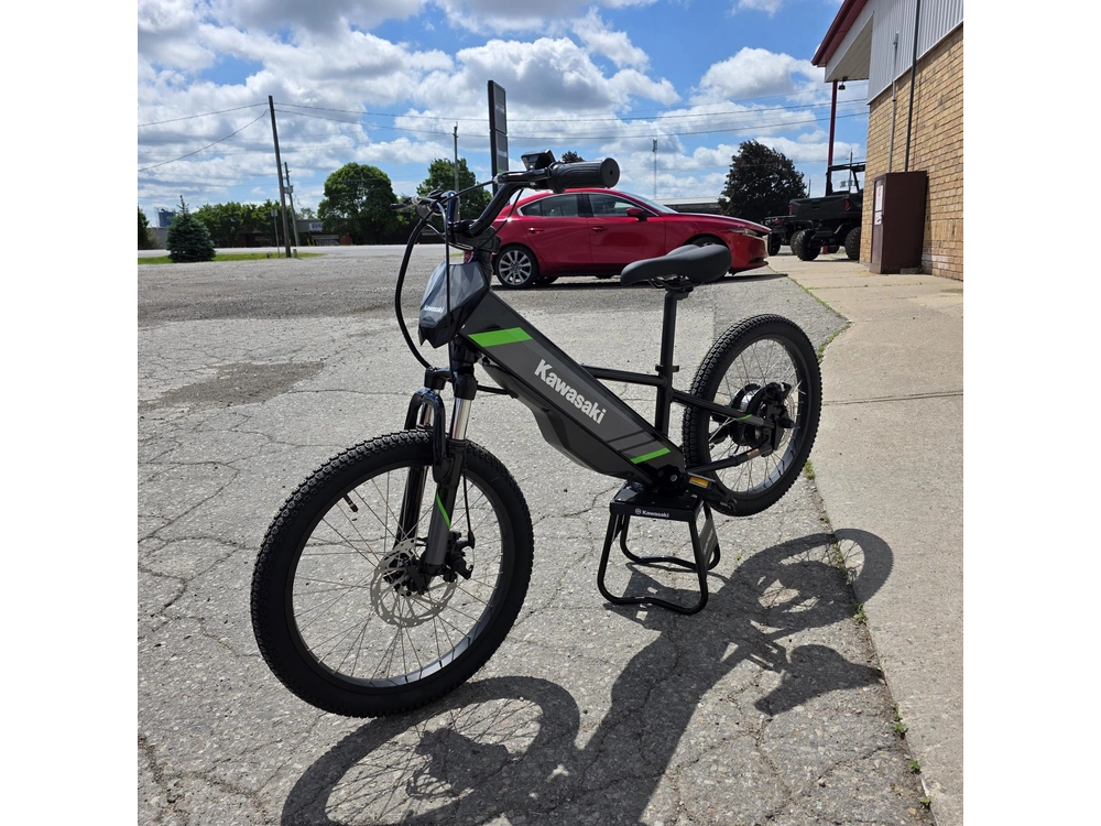 2025 Kawasaki Elektrode 20 alt