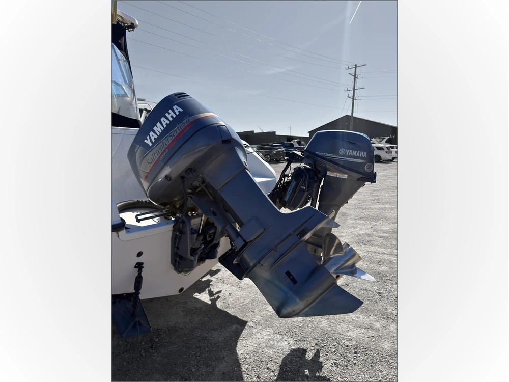 2002 Striper Seaswril 2101 alt
