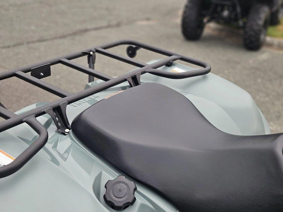 2026 Yamaha Kodiak 700 Eps Xt-r alt