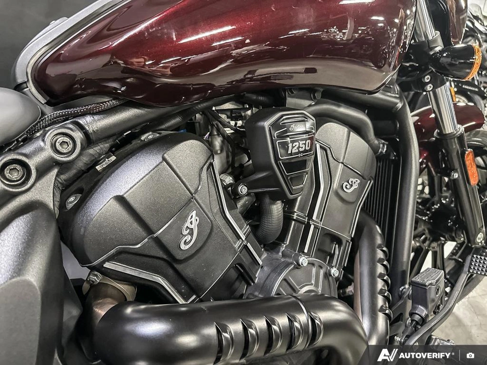 2025 Indian Motorcycle Scout Sport Ltd alt