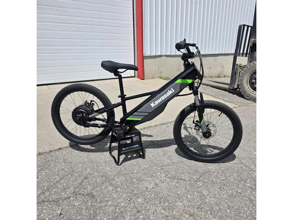 2025 Kawasaki Elektrode 20 alt