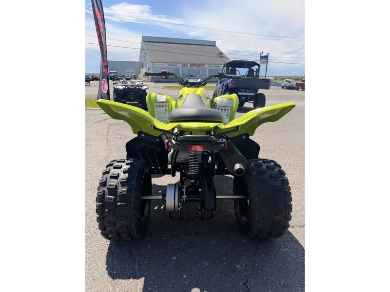 2026 Yamaha Yamaha RAPTOR 110