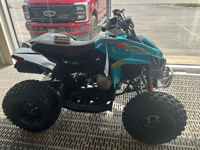 Can-am Renegade 110 Efi 2026 alt