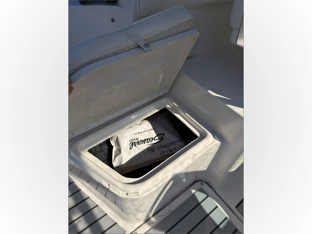 2002 Striper Seaswril 2101 alt