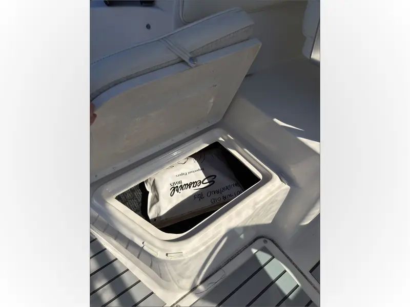 2002 Striper Seaswril 2101 thumbnail 22