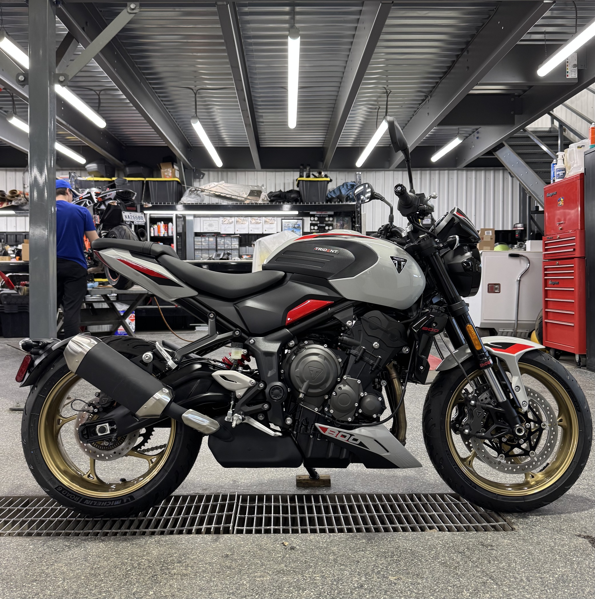 2026 Triumph TRIDENT 800 GRIS